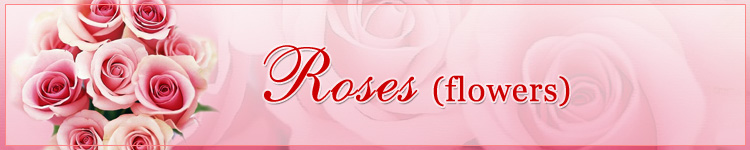 All About Roses at Roses